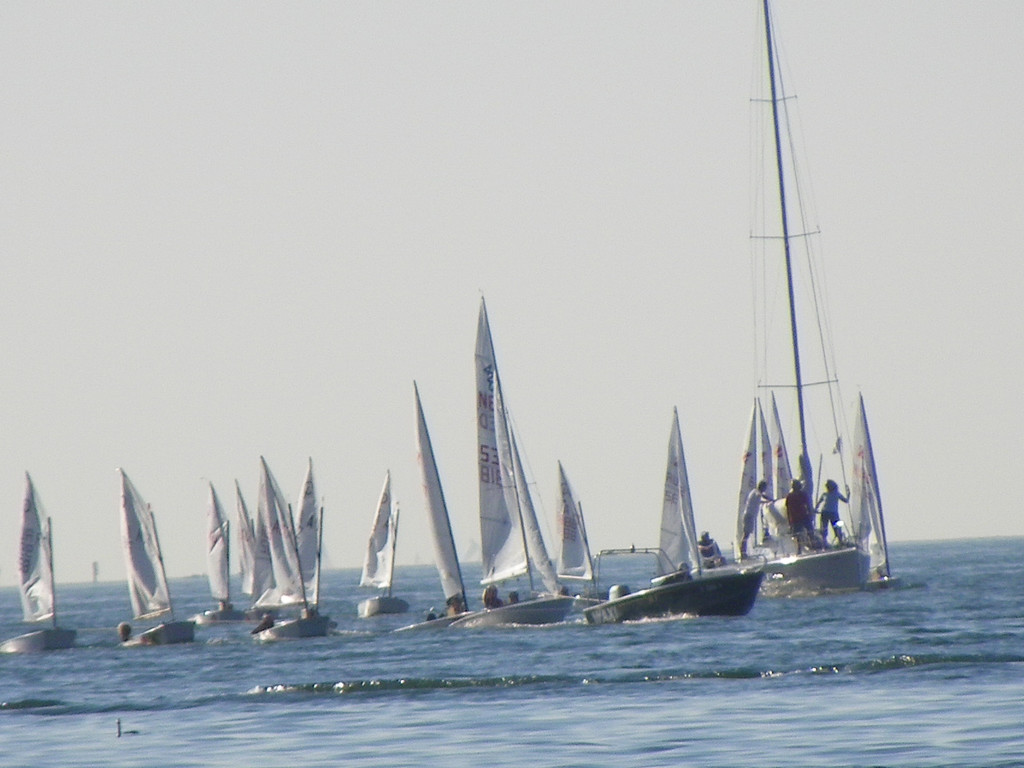 116_1340_JPG-1348435015