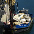 116_1074_JPG-1348437023