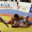 Ringen Klaus - Wolf_   2012 427.jpg
