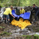 normal_23092012fmt_entenrennen_fm_04.jpg