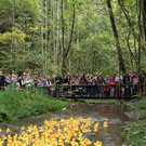 normal_23092012fmt_entenrennen_fm_06.jpg