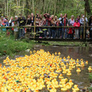 normal_23092012fmt_entenrennen_fm_07.jpg