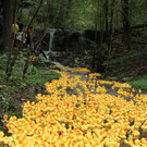 normal_23092012fmt_entenrennen_fm_12.JPG
