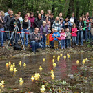normal_23092012fmt_entenrennen_fm_15.JPG