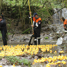 normal_23092012fmt_entenrennen_fm_27.JPG