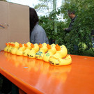 normal_23092012fmt_entenrennen_fm_49.JPG