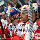 Red Bulls - KAC