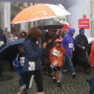 grilla_jpg 101_jpg-1348479386