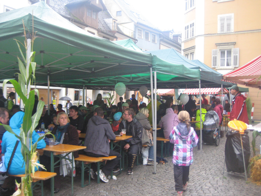 grilla_jpg 224_jpg-1348479641