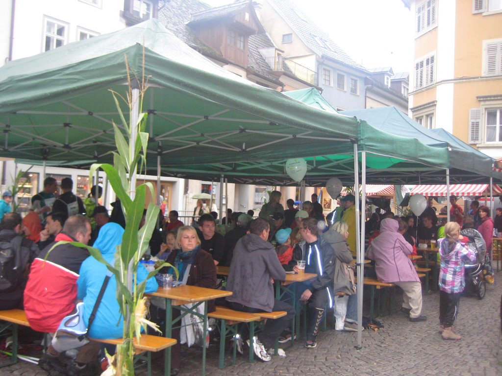 grilla_jpg 225_jpg-1348479643