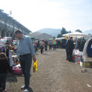 grilla_jpg 237_jpg-1348485778