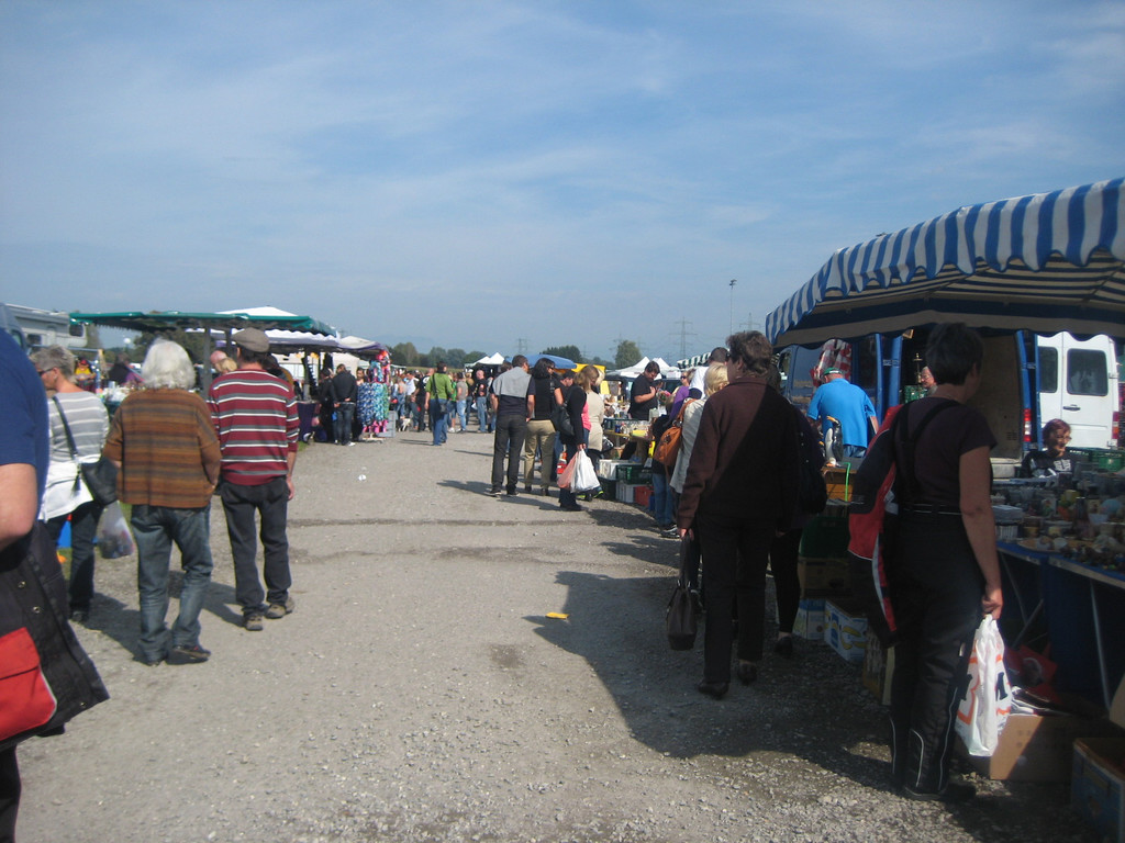 grilla_jpg 238_jpg-1348485780