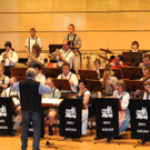 Musikball108.JPG