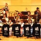 Musikball113.JPG