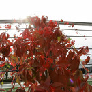normal_24092012fmt_ayabadbaustelle_mw_021.JPG
