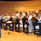 Musikball267.JPG