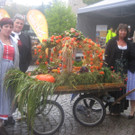 grilla_jpg 016_jpg-1348492826