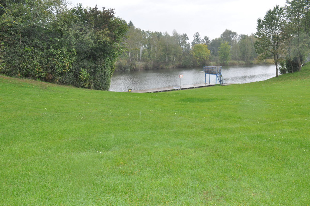 Rheinauen08.JPG