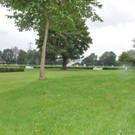 Rheinauen27.JPG