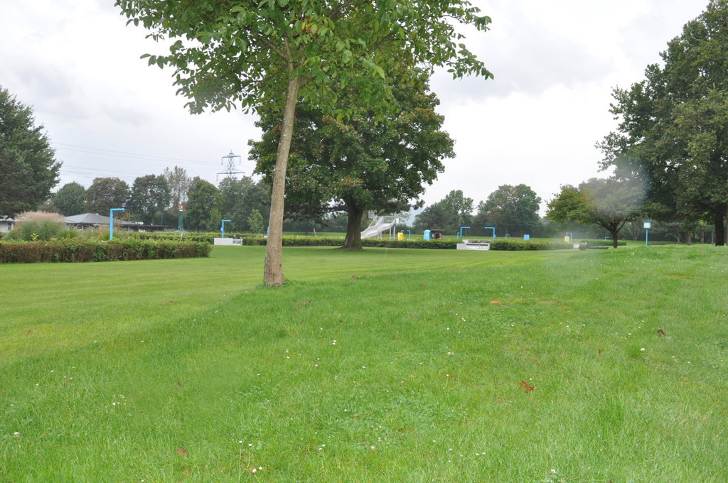Rheinauen27.JPG