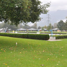 Rheinauen35.JPG