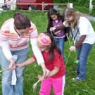 Fest17_jpg-1348497844