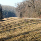 Polderdamm H__chst M__rz 2012_jpg-1348500092