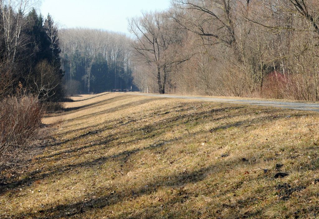 Polderdamm H__chst M__rz 2012_jpg-1348500092