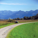 Polderdamm aktuell_jpg-1348500078
