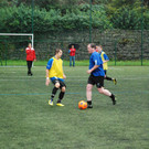 DSC_0110.jpg