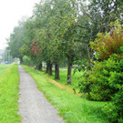 Hard Walserstra__e 141_jpg-1348503313