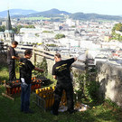 normal_24092012fmt_feuerwerkaufbau_ta_016.JPG
