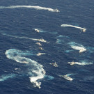 DAB0404-20120925.jpg