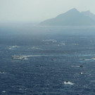 DAB0411-20120925.jpg