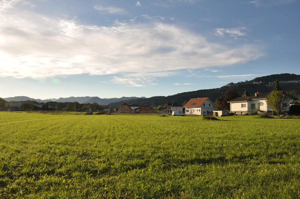 DSC_0037_JPG-1348561584