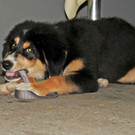 Blum-Er__ffnung 21-09-2012 102_jpg-1348592672