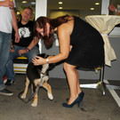 Blum-Er__ffnung 21-09-2012 105_jpg-1348592676