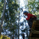 DSC05524.JPG