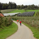 DSC02379.JPG