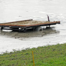 Holz im Rhein 27-09-2012 182_jpg-1348740775
