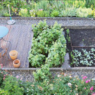 Gartenblick.jpg