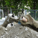 116_2870_JPG-1348780485