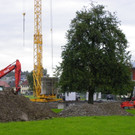 116_2630_JPG-1348782292