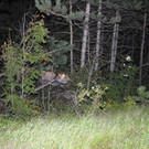 DSC_0014.JPG