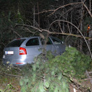 DSC_0017_Kopie.jpg