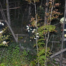 DSC_0025.JPG