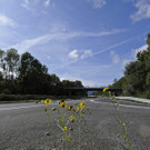 ABD0048-20120928.jpg
