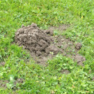 Dammw__rter 27-09-2012 28_jpg-1348860921