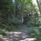 Forstweg Eichwäldle