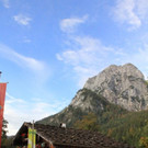 Bilder vom Almabtrieb